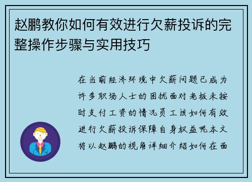 赵鹏教你如何有效进行欠薪投诉的完整操作步骤与实用技巧