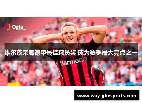 维尔茨荣膺德甲最佳球员奖 成为赛季最大亮点之一